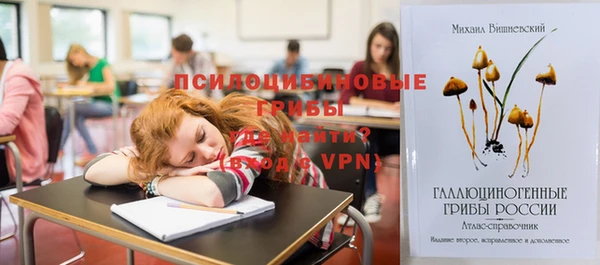 ГАЛЛЮЦИНОГЕННЫЕ ГРИБЫ Балабаново