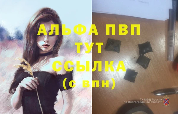 apvp Арсеньев